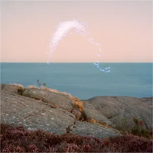 An overview on phenomenal nature